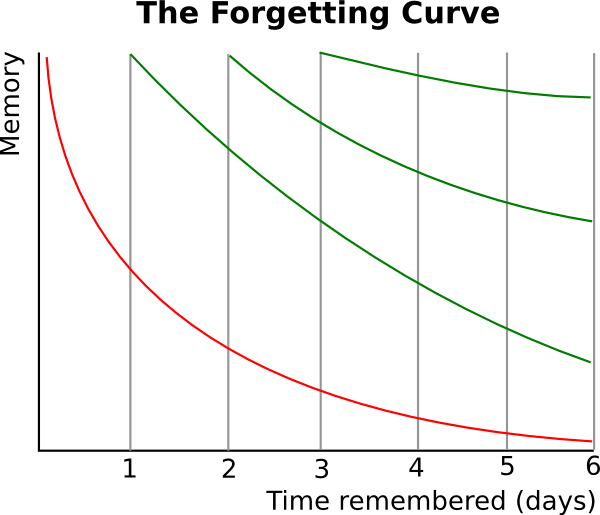 The forgetting curve