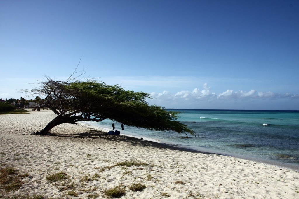 Leef! Aruba