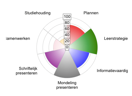 De studievaardighedenscan: inzicht in studievaardigheden